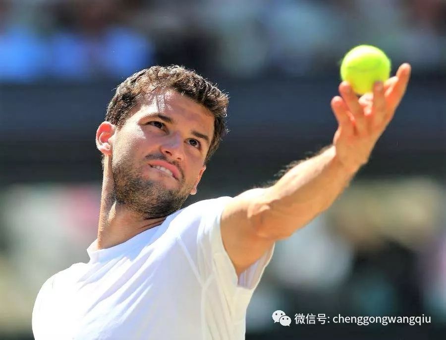 仅决定球队 仅决定球队