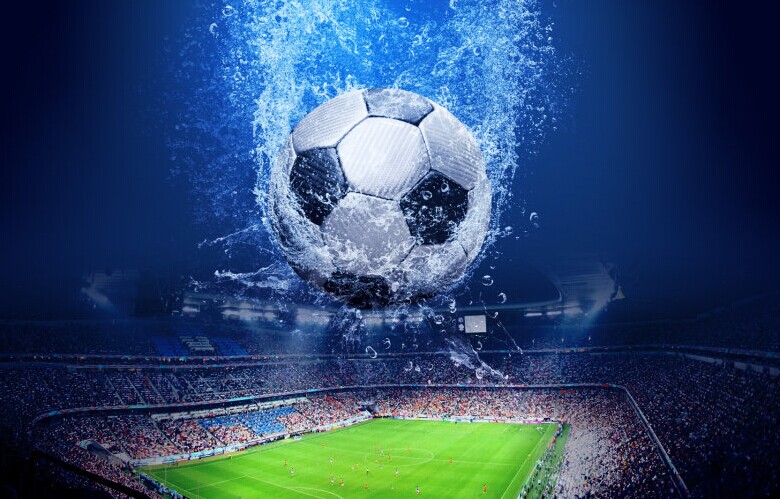 动爱好者的 动爱好者的